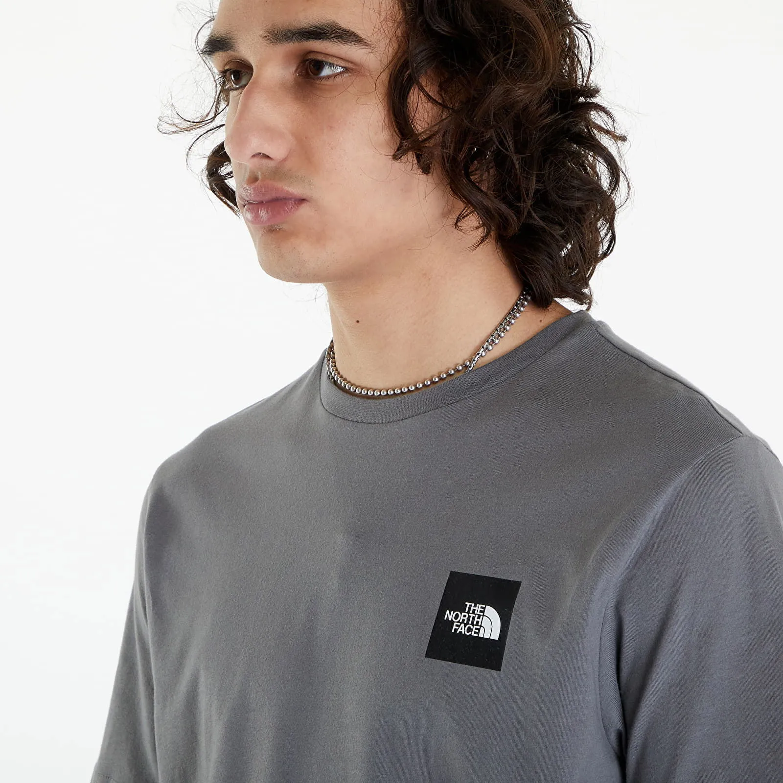 The North Face Coordinates Short Sleeve Tee Smoked Pearl